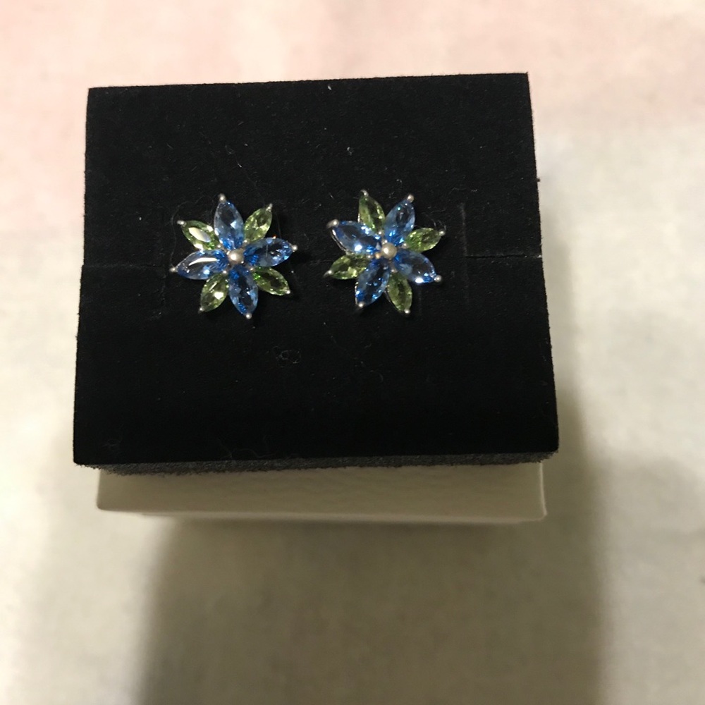 Sterling Silver Earrings